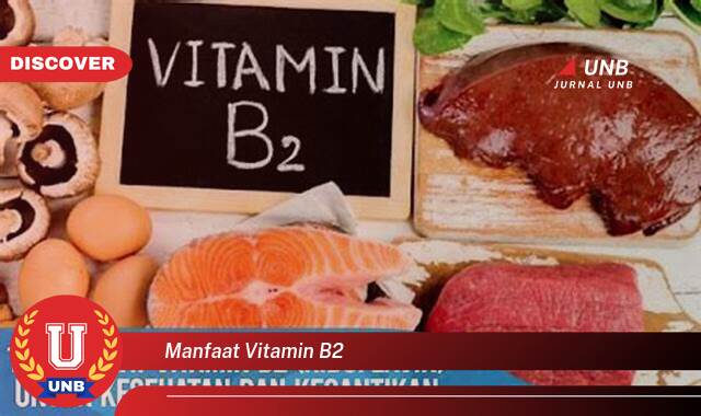 Temukan 10 Manfaat Vitamin B2 untuk Kesehatan Tubuh dan Kecantikan Kulit Temukan 10 Manfaat Vitamin B2 untuk Kesehatan Tubuh dan Kecantikan Kulit