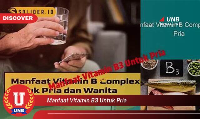 10 Manfaat manfaat vitamin b3 untuk pria yang Wajib Kamu Intip