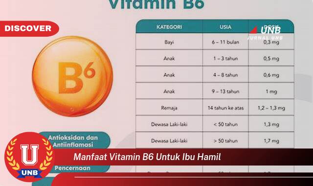 Temukan 10 Manfaat Vitamin B6 untuk Ibu Hamil, Mencegah Mual, Meningkatkan Imunitas, dan Mendukung Perkembangan Janin