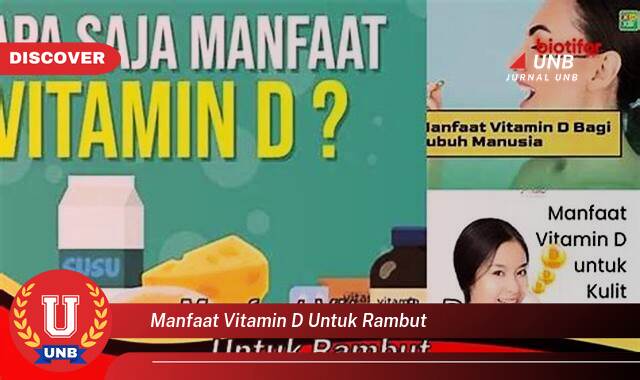 Temukan 9 Manfaat Vitamin D untuk Rambut, Atasi Kerontokan dan Tingkatkan Pertumbuhan Temukan 9 Manfaat Vitamin D untuk Rambut, Atasi Kerontokan dan Tingkatkan Pertumbuhan