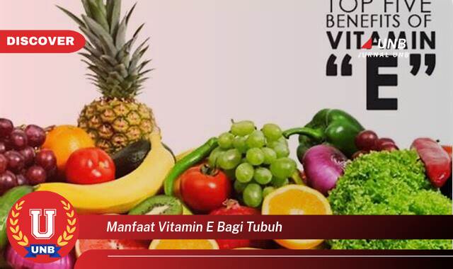 Ketahui 10 Manfaat manfaat vitamin e bagi tubuh yang Jarang Diketahui