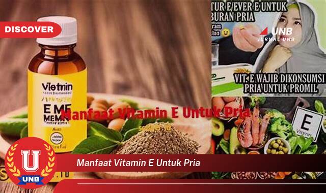 Temukan 10 Manfaat Vitamin E untuk Pria, Kesehatan, Vitalitas, dan Penampilan Prima