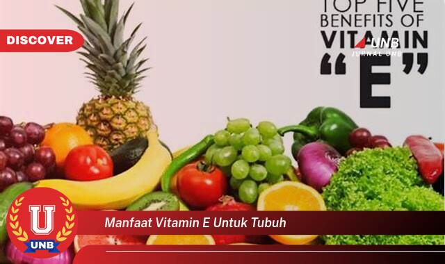 Ketahui 9 Manfaat manfaat vitamin e untuk tubuh yang tidak Semua Orang Tau