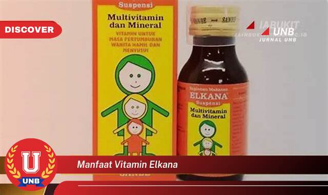 Ketahui 9 Manfaat manfaat vitamin elkana yang Jarang Diketahui