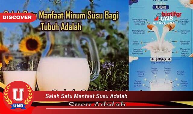 Temukan 8 Manfaat Susu, Meningkatkan Kesehatan Tulang Anda Secara Alami