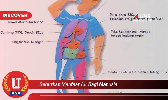 Temukan 8 Manfaat Air bagi Manusia, Panduan Lengkap untuk Kesehatan & Kehidupan